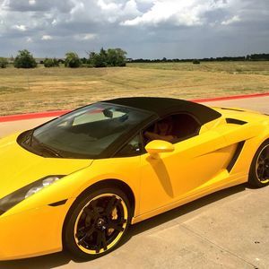 Meet your Posher, Barbara